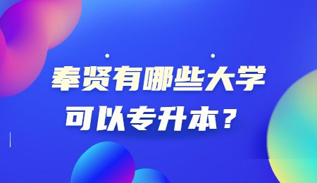 奉贤有哪些大学可以专升本？