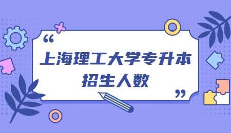 上海理工大学专升本招生人数