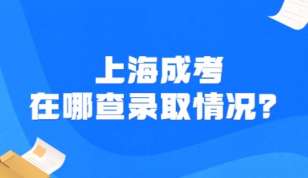 上海成考在哪查录取情况？