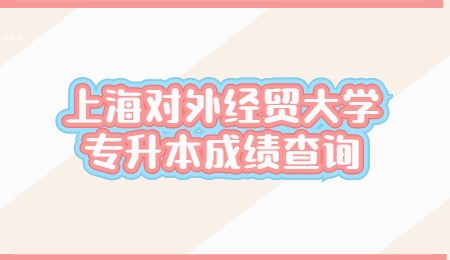 上海对外经贸大学专升本成绩查询