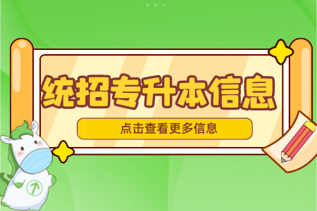 2022年上海工程技术大学专升本考试具体录取办法