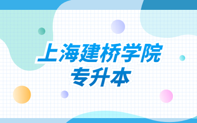 上海建桥学院专升本招生专业