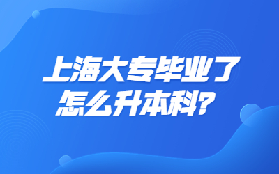 上海大专毕业了怎么升本科？