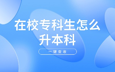 在校专科生怎么升本科