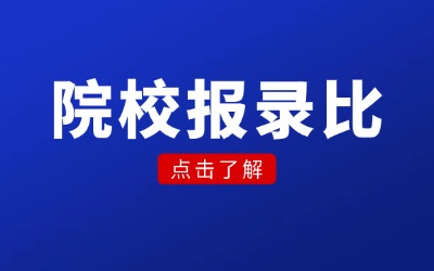 上海专升本报录比